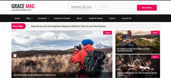 SEO Dostu WordPress Temalar