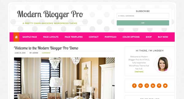 SEO Dostu WordPress Temalar